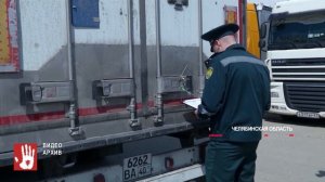 В рыбе из Магнитогорска нашли превышение норм мышьяка и свинца