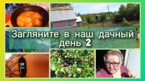 Загляните в наш дачный день 2