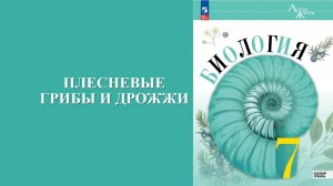 Урок 32. Плесневые грибы и дрожжи