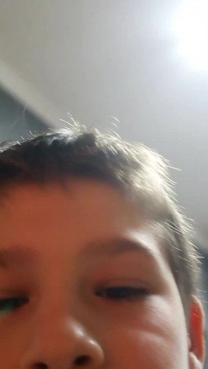 показываю кошку