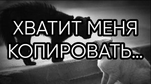 ХВАТИТ МЕНЯ КОПИРОВАТЬ…