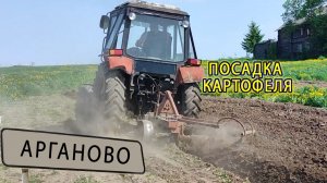 Как сажают картофель в деревне Арганово: полный процесс с трактором и бороной