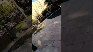 Я на улице!
