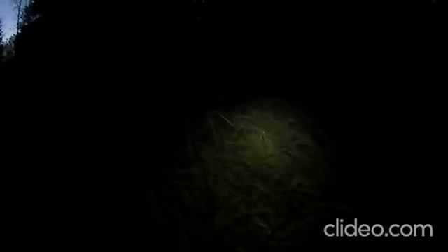 история. видел непонятные огни на черном озере. смотреть онлайн