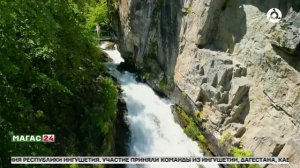 Срок выполнения работ по лесовосстановлению после вырубки предложили сократить