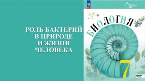 Урок 29. Роль бактерий в природе и жизни человека