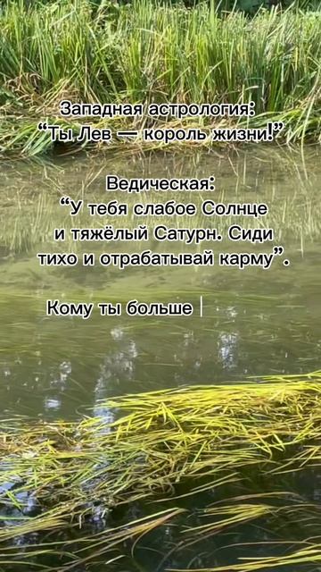 Западная астрология - "Ты лев, король жизни" #7гроз #веды #нумерология #астрология #магиячисел