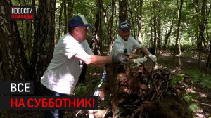 Акция «Чистый лес» прошла в Балашихе