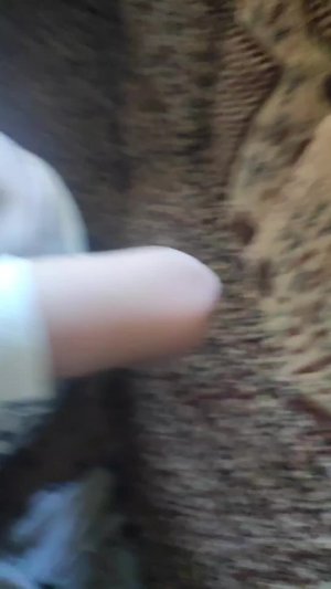 наша база
