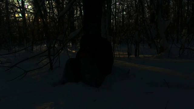продержись 24 часа или умри сезон 3 ЧАСТЬ 14