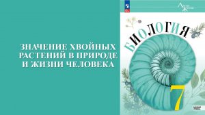 Урок 13. Значение хвойных растений в природе и жизни человека
