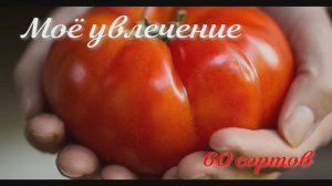 Моё хобби .   Вот и время для ухода за любимыми саженцами
