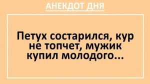 Петух состарился, кур не топчет, мужик купил молодого... | Анекдоты смешные | Юмор