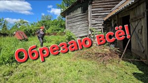 08-06-2026 Всё обрезала, навела красоту // Клубника в цвету.