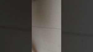 5863.mp4