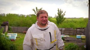 Осторожно, жужжащий контент 🐝