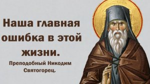 Наша главная ошибка в этой жизни. Преподобный Никодим Святогорец.