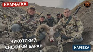 КАМЧАТКА | БАРАН | НАРЕЗКА| РЕАЛЬНАЯ ОХОТА