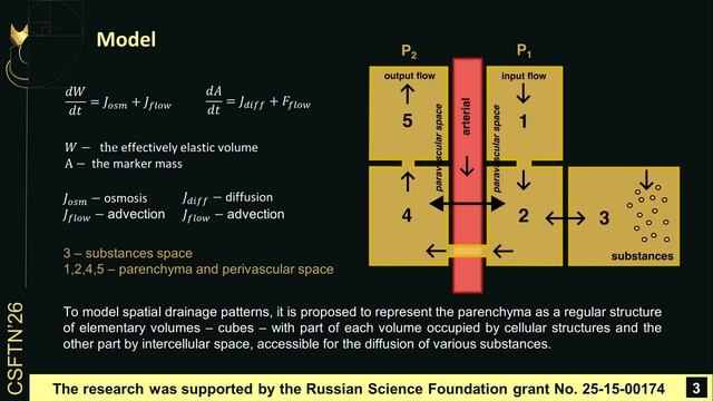 Voxel-based approach in the modeling of parenchymal flows and molecular transport смотреть онлайн