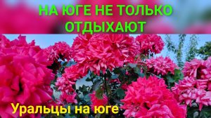 Уральцы на юге.Непочатый край/Наша карусель