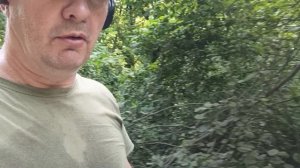 снт товарищ в Сочи