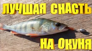Оснастка Убийца Окуня. Самый уловистый монтаж на окуня.
