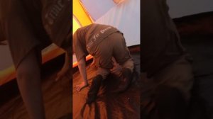 очень странный сон в палатке!🤣