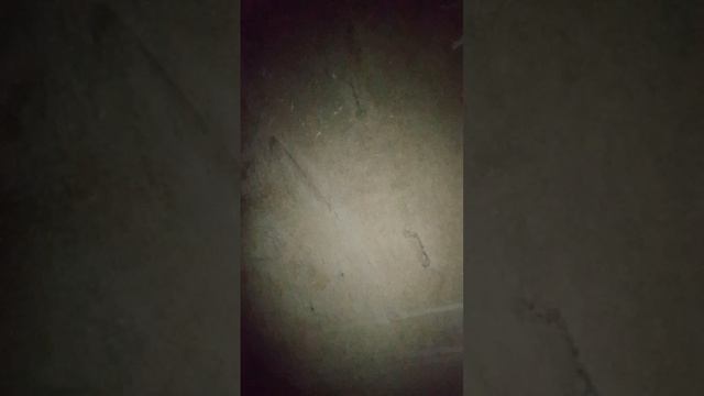 гуляем с подругами 1 серия смотреть онлайн