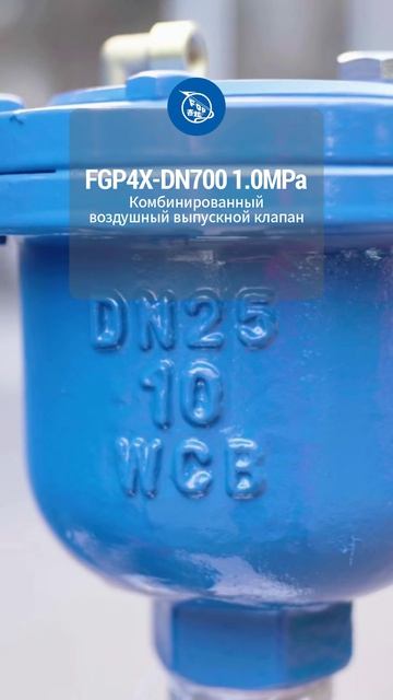 FGP4X-DN700 1.0 MPa комбинированный воздушный клапан-FENQI