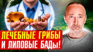 Вы знали, что грибы лечат болезни? Но в каком виде?