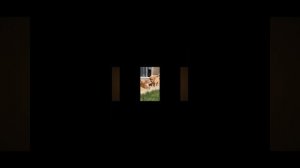 1000023074.mp4
