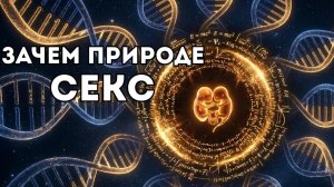 СЕКС: Главный парадокс эволюции — зачем природа изобрела то, что в два раза хуже