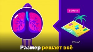 Насколько огромной может вырасти бактерия-