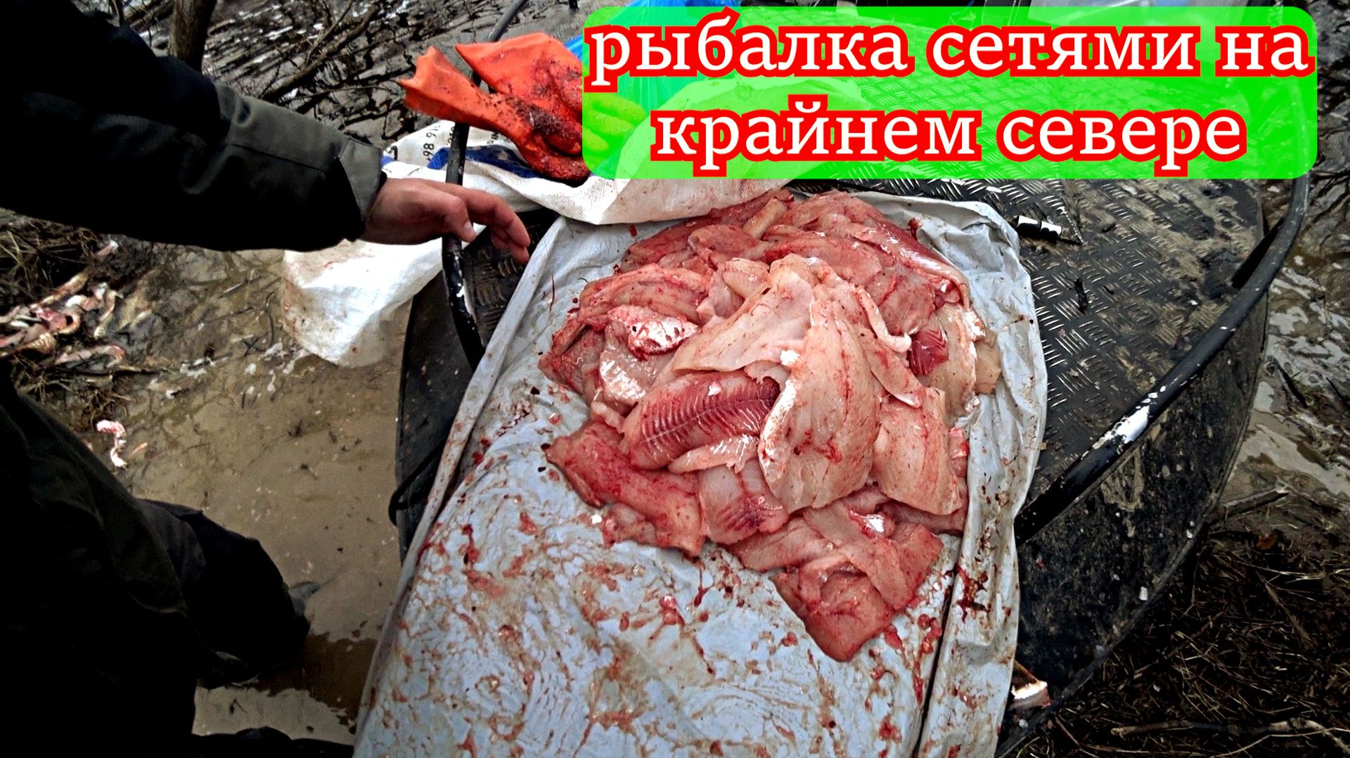 Проверяем СТАРЫЕ СЕТИ с отцом: какой улов нас ждёт? смотреть онлайн