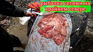 Проверяем СТАРЫЕ СЕТИ с отцом: какой улов нас ждёт?