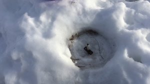 Зимняя колонка для воды своими руками