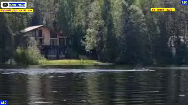 После дождика с А. Пушкиным 08.06.2026 #юныйпрадедбодрыйдед #авсарх