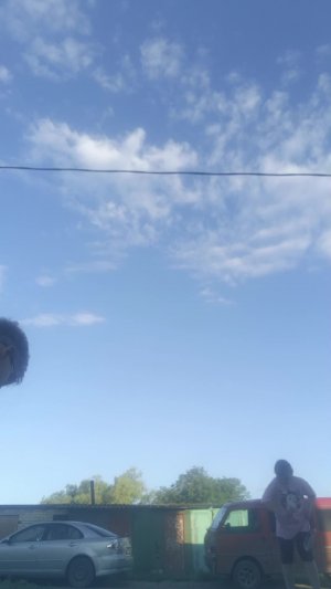 играем в банбинтон
