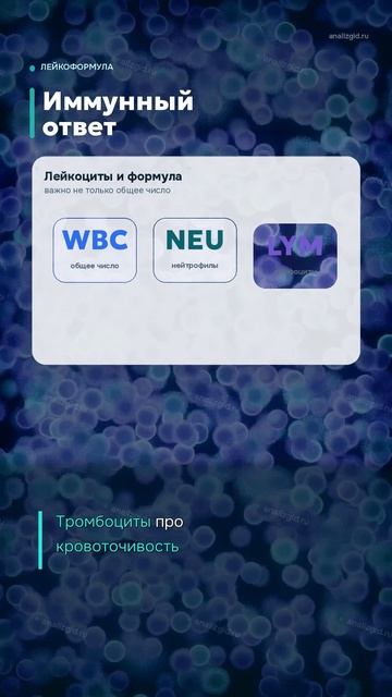 ОАК без паники: как читать общий анализ крови #Shorts