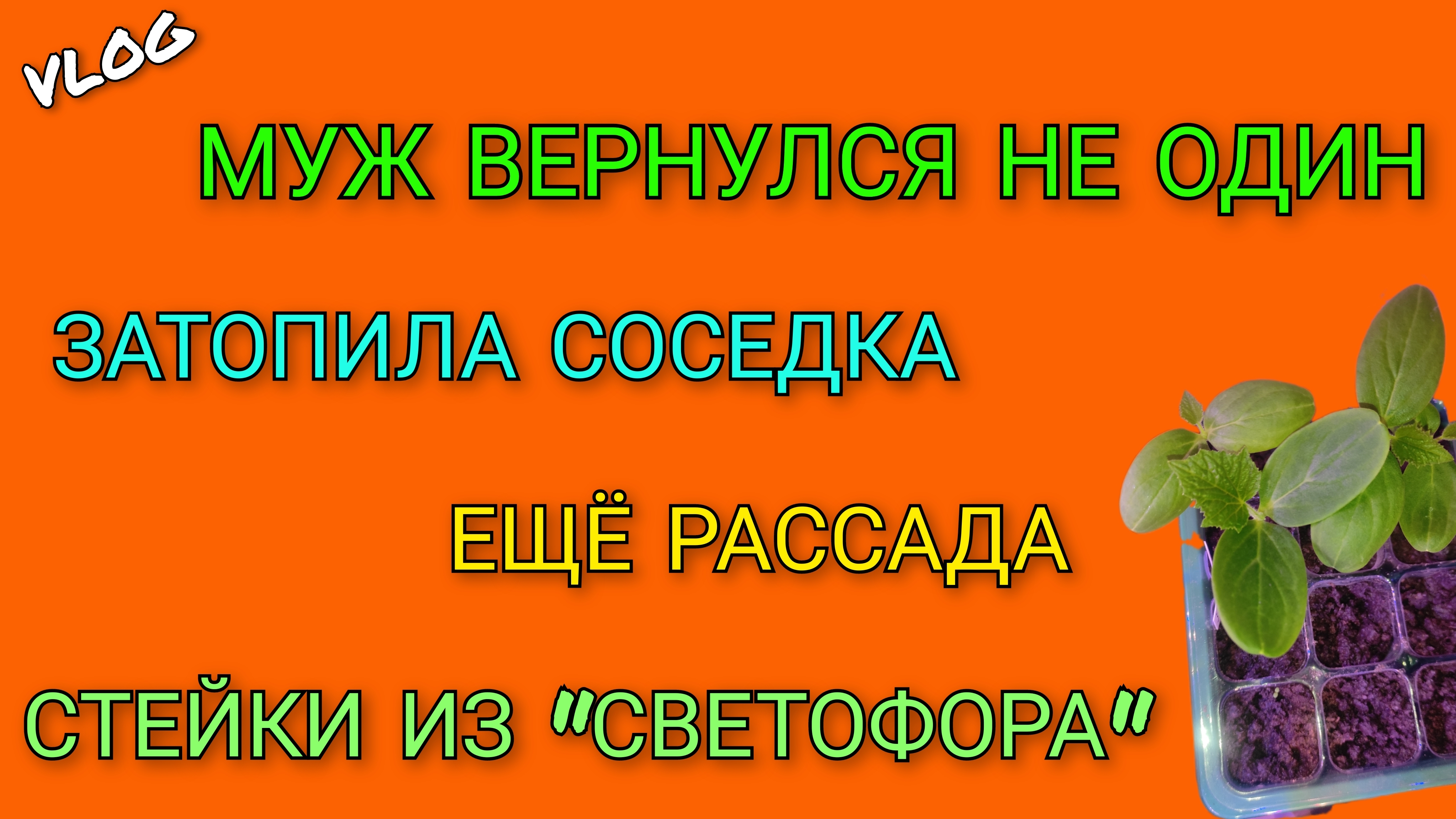 🍒 Муж вернулся на дачу не один/ Наш участок затопила соседка/ Ещё рассада/ Стейки из Светофора