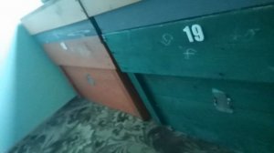 подготовка презентации Цифровое пчеловодство на ульях