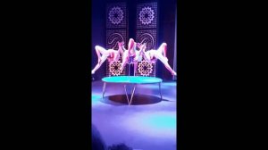 Нас развлекают Paloma Foresta 5*. Очень красиво!