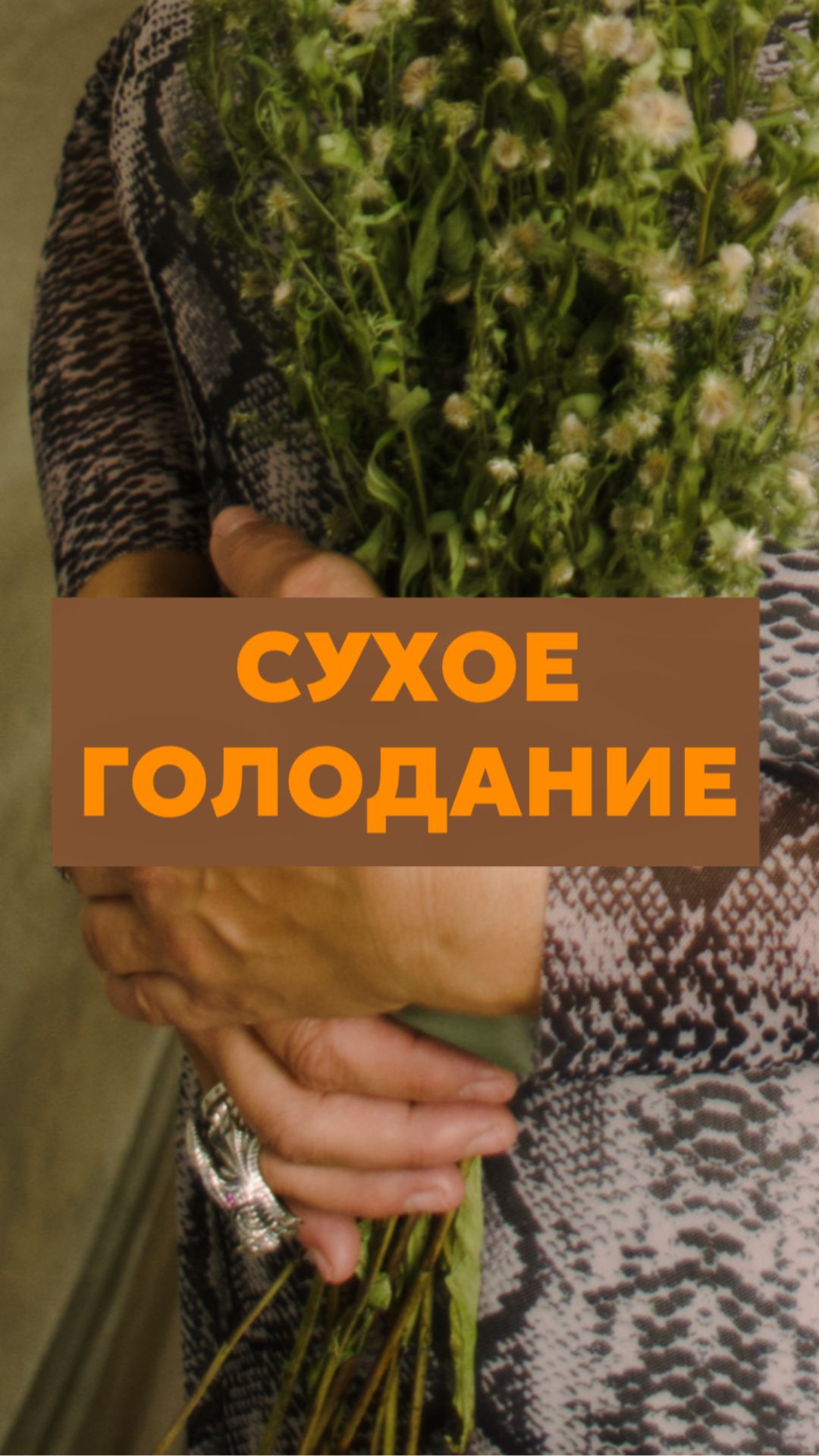 Сухое голодание