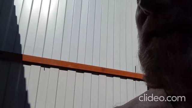 в дикую природу Омска смотреть онлайн