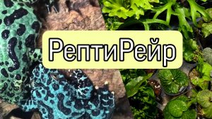Пятиминутка Рептилиума и Гринрейр 06 июня 2026