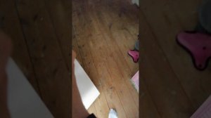 Щас будет стрим