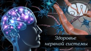 Здоровье нервной системы