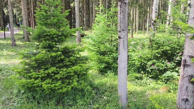 Сходила в церковь ,снова гости . смотреть онлайн