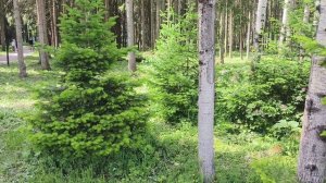 Сходила в церковь ,снова гости .