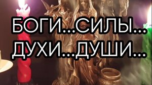 Боги, Силы,Духи, Души...Прямой эфир ...